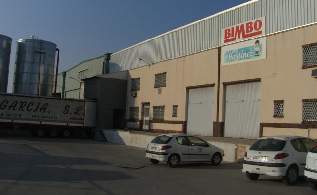 836_ Bimbo Malaga 2